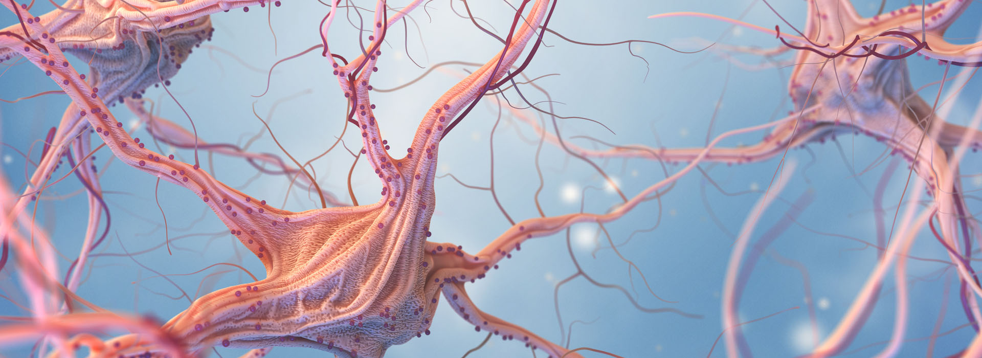 Stress respons en toxische stress